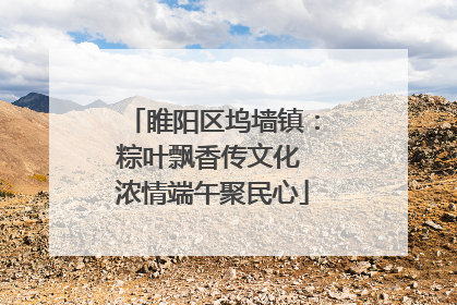 睢阳区坞墙镇：粽叶飘香传文化 浓情端午聚民心