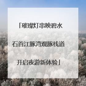 璀璨灯串映碧水 石首江豚湾观豚栈道开启夜游新体验