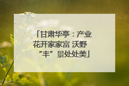 甘肃华亭：产业花开家家富 沃野“丰”景处处美