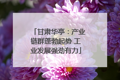 甘肃华亭：产业链群蓬勃起势 工业发展强劲有力