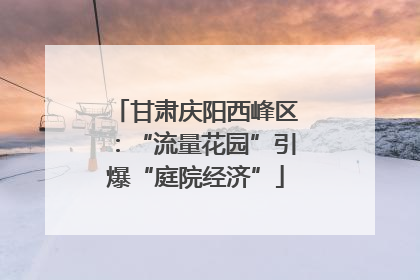 甘肃庆阳西峰区：“流量花园”引爆“庭院经济”