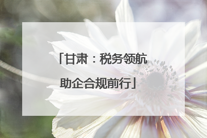 甘肃：税务领航 助企合规前行