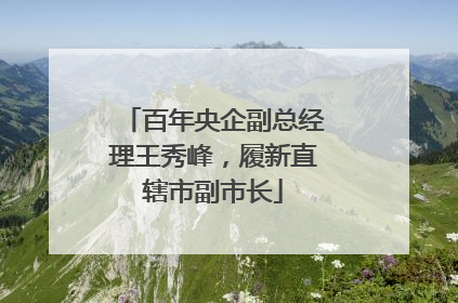 百年央企副总经理王秀峰，履新直辖市副市长