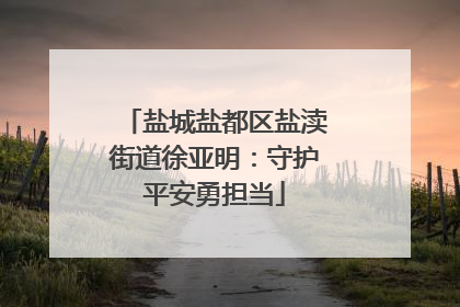 盐城盐都区盐渎街道徐亚明：守护平安勇担当