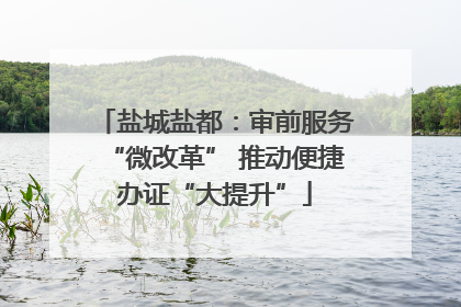 盐城盐都：审前服务“微改革” 推动便捷办证“大提升”