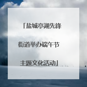盐城亭湖先锋街道举办端午节主题文化活动