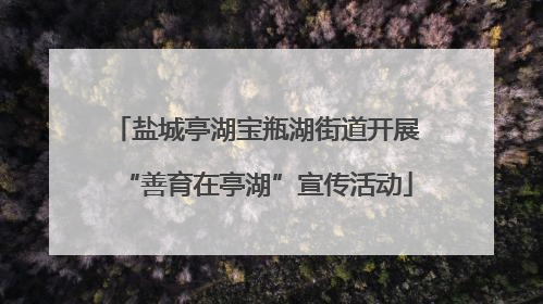盐城亭湖宝瓶湖街道开展“善育在亭湖”宣传活动