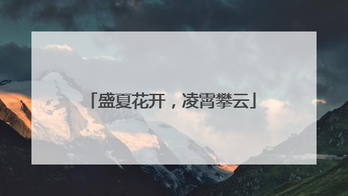 盛夏花开，凌霄攀云