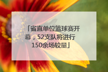 省直单位篮球赛开幕，52支队将进行150余场较量