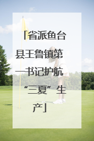 省派鱼台县王鲁镇第一书记护航“三夏”生产