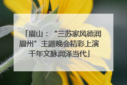 眉山：“三苏家风德润眉州”主题晚会精彩上演千年文脉润泽当代
