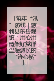 筑牢“汛”防线｜慈利县东岳观镇：用心用情架好党群温暖悠长的“连心桥”