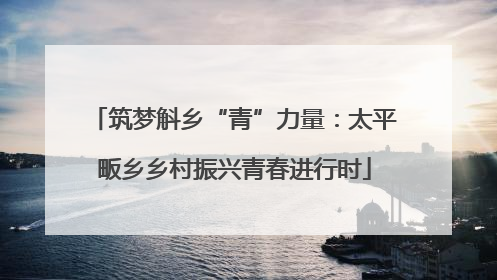 筑梦斛乡“青”力量：太平畈乡乡村振兴青春进行时