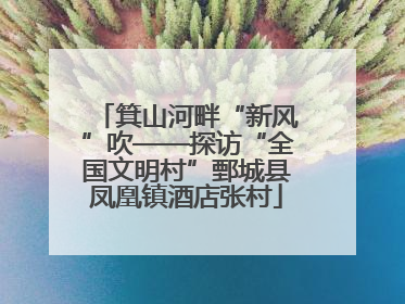 箕山河畔“新风”吹——探访“全国文明村”鄄城县凤凰镇酒店张村