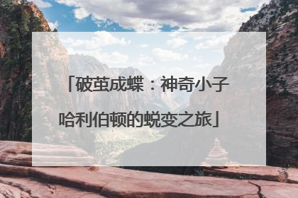 破茧成蝶：神奇小子哈利伯顿的蜕变之旅
