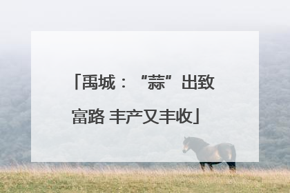 禹城：“蒜”出致富路 丰产又丰收