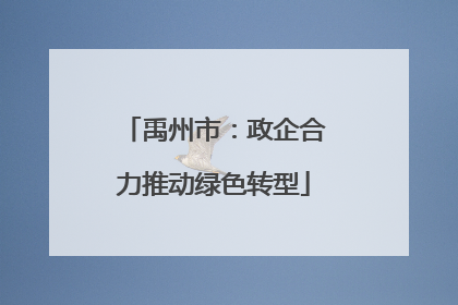 禹州市：政企合力推动绿色转型