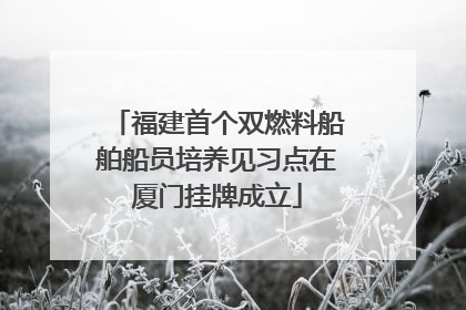 福建首个双燃料船舶船员培养见习点在厦门挂牌成立