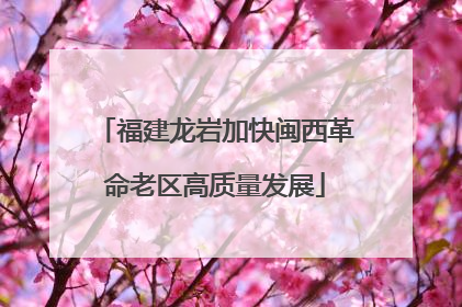 福建龙岩加快闽西革命老区高质量发展