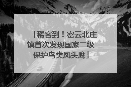 稀客到！密云北庄镇首次发现国家二级保护鸟类凤头鹰