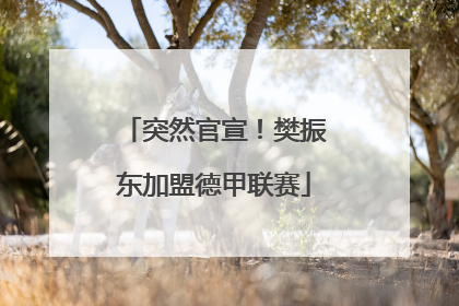 突然官宣！樊振东加盟德甲联赛