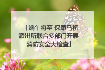 端午将至 保康马桥派出所联合多部门开展消防安全大检查