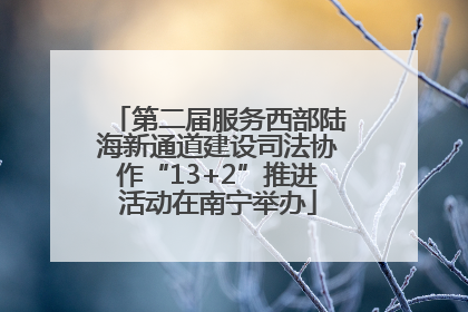 第二届服务西部陆海新通道建设司法协作“13+2”推进活动在南宁举办