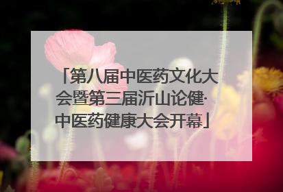 第八届中医药文化大会暨第三届沂山论健·中医药健康大会开幕