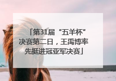 第31届“五羊杯”决赛第二日，王禹博率先挺进冠亚军决赛