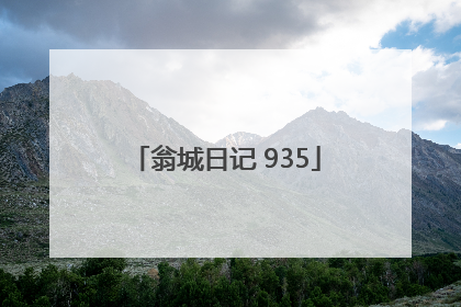翁城日记 935