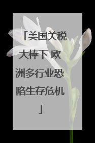 美国关税大棒下 欧洲多行业恐陷生存危机