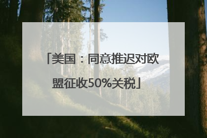 美国：同意推迟对欧盟征收50%关税
