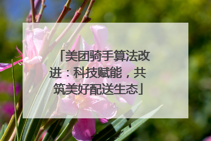 美团骑手算法改进：科技赋能，共筑美好配送生态