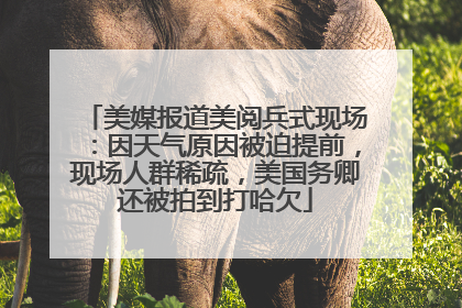 美媒报道美阅兵式现场：因天气原因被迫提前，现场人群稀疏，美国务卿还被拍到打哈欠