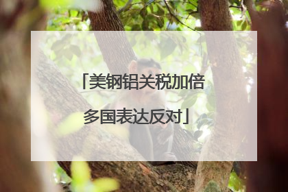 美钢铝关税加倍 多国表达反对