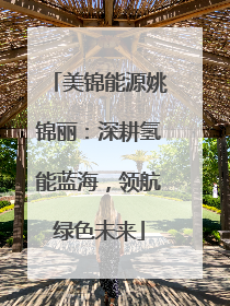 美锦能源姚锦丽：深耕氢能蓝海，领航绿色未来