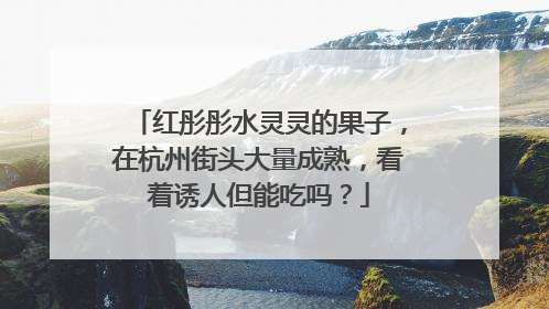 红彤彤水灵灵的果子，在杭州街头大量成熟，看着诱人但能吃吗？