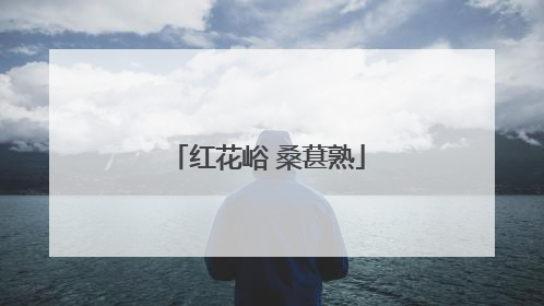 红花峪 桑葚熟