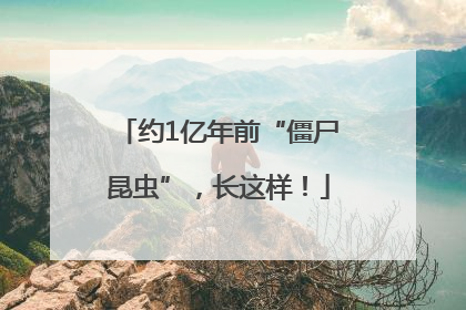 约1亿年前“僵尸昆虫”，长这样！
