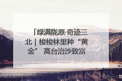 绿满陇原·奇迹三北｜梭梭林里种“黄金” 高台治沙致富很“从容”