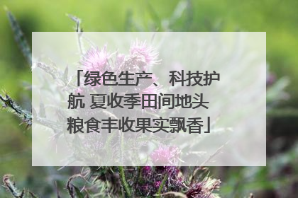 绿色生产、科技护航 夏收季田间地头粮食丰收果实飘香