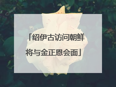 绍伊古访问朝鲜 将与金正恩会面