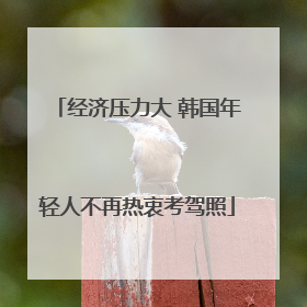 经济压力大 韩国年轻人不再热衷考驾照