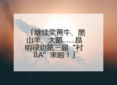 继续奖黄牛、黑山羊、大鹅……昆明禄劝第三届“村BA”来啦！