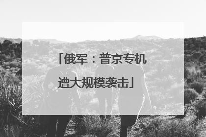 俄军：普京专机遭大规模袭击