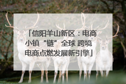 信阳羊山新区：电商小镇“链”全球 跨境电商点燃发展新引擎