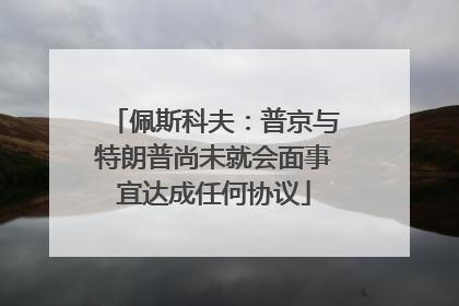 佩斯科夫：普京与特朗普尚未就会面事宜达成任何协议