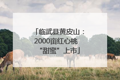 临武县黄皮山：2000亩红心桃“甜蜜”上市