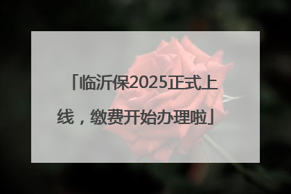 临沂保2025正式上线，缴费开始办理啦