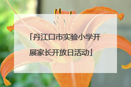 丹江口市实验小学开展家长开放日活动